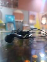 itel SF-A155 Stereo Headset with Clear Sound Quality - Image 4